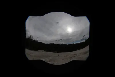 DSC_4443 (Large).JPG